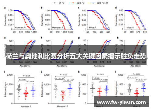 荷兰与奥地利比赛分析五大关键因素揭示胜负走势