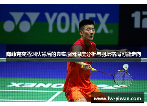 陶菲克突然退队背后的真实原因深度分析与羽坛格局可能走向