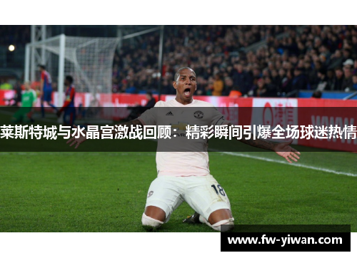 莱斯特城与水晶宫激战回顾：精彩瞬间引爆全场球迷热情